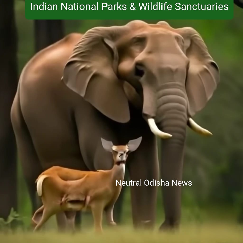 India’s national parks and wildlife sanctuaries