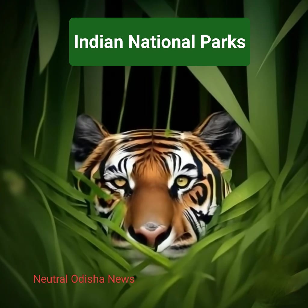 India’s national parks and wildlife sanctuaries