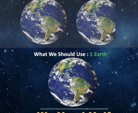 We need Half and Consume 1.8 Earth